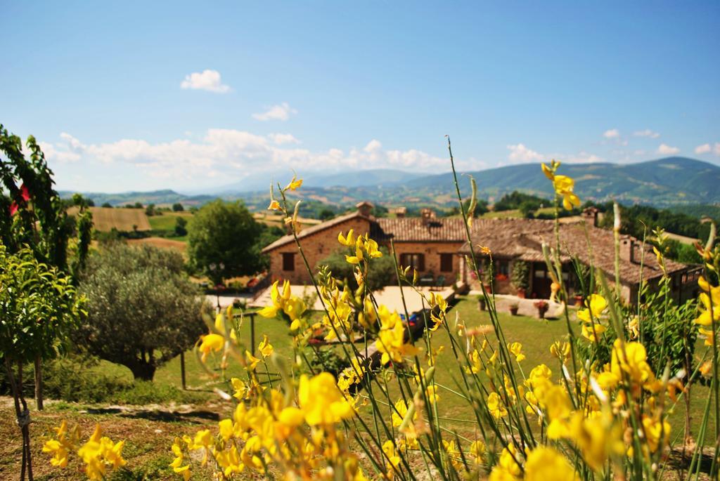 Agriturismo L'Antico Oliveto San Severino Marche Bagian luar foto