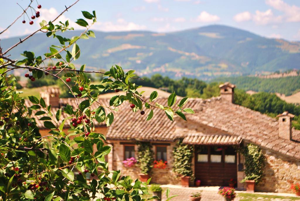 Agriturismo L'Antico Oliveto San Severino Marche Bagian luar foto